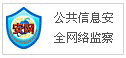 公共信息安全網(wǎng)絡(luò)監(jiān)察